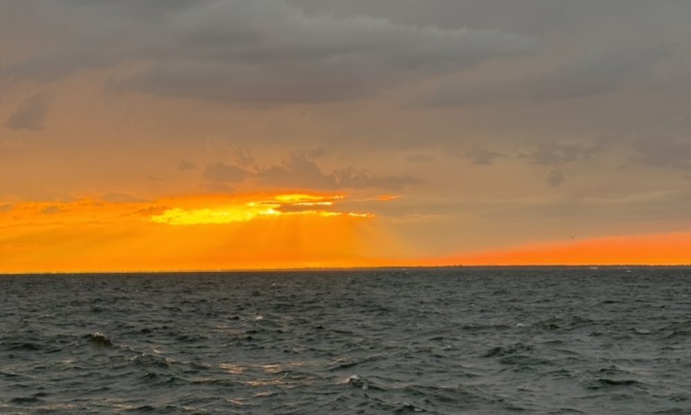 7E28C049-1EED-45E7-9AC6-60A45F875743_1_105_c